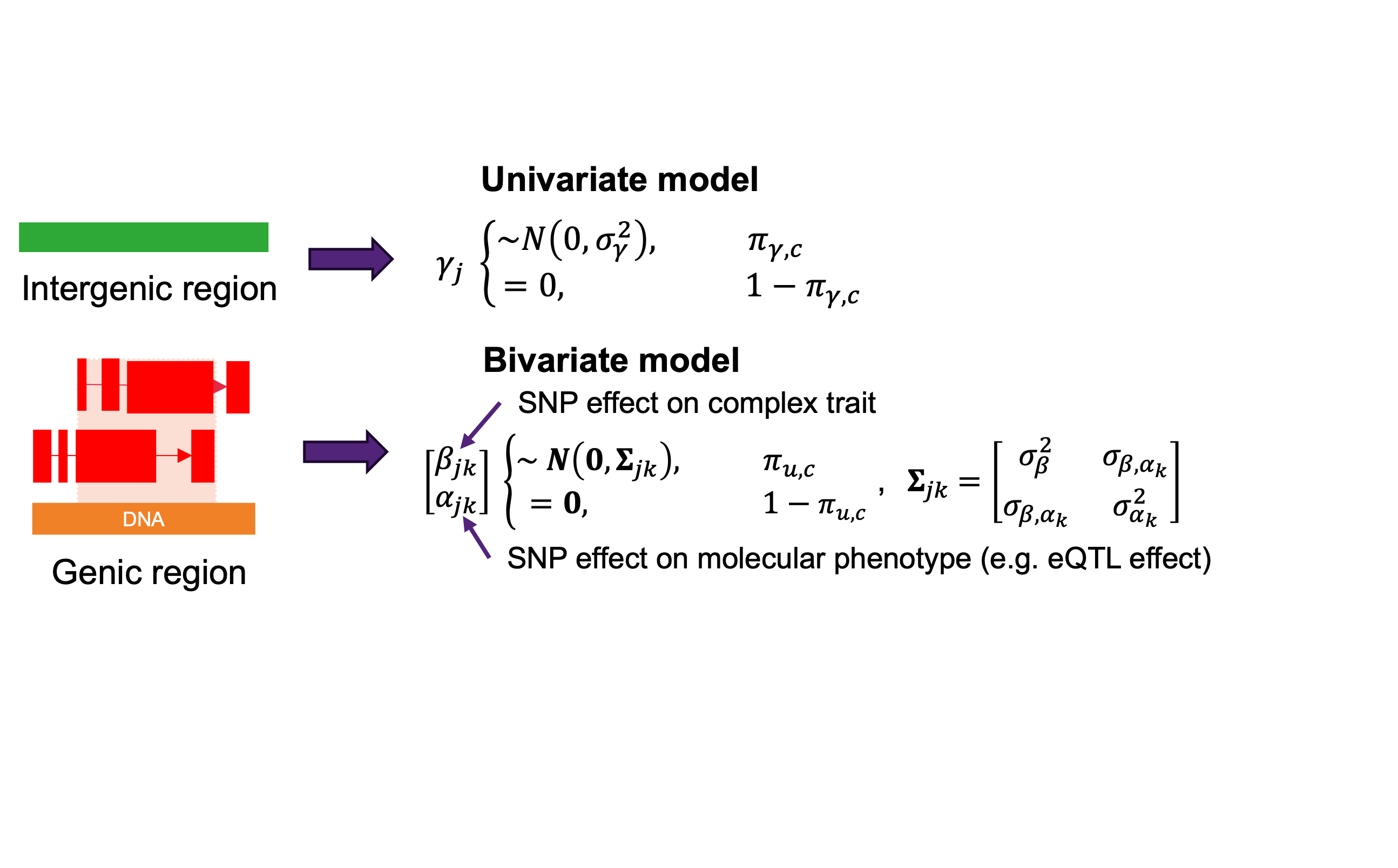 Bayesian model integrating GWAS and molecular phenotype data