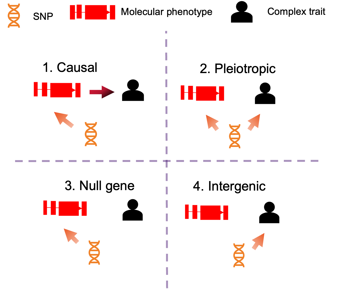 schematic simulation